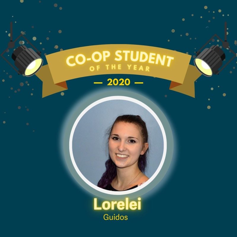 Software Engineering Student